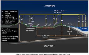 5 The Carbon Cycle Climate Toolkit A Resource Manual For Science And Action