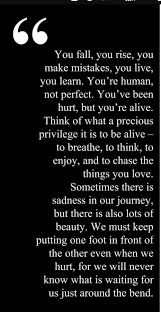 You Fall You Rise You Re Human Not Perfect Quotes Humanity Quotes Rise Quotes Reminder Quotes