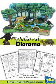 Wetland Diorama Project Animal Habitat Activity In 2020 Habitat Activities Animal Habitats Diorama Kids