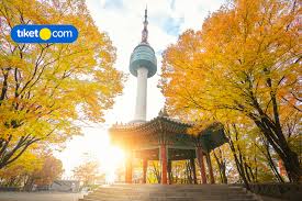 9 destinasi korea selatan untuk nikmati musim gugur. 8 Tempat Wisata Di Korea Selatan Kamu Harus Ke Sini Tiket Com