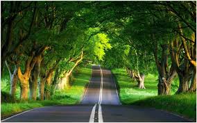 road wallpaper landscape nature scenery wallpaper nature desktop hd nature wallpapers scenery wallpaper nature desktop