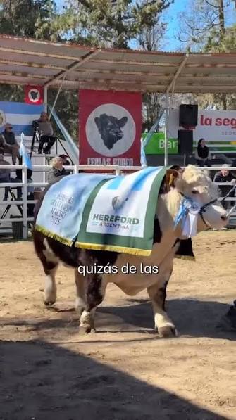 #HuincaRenancó | 🗣️”Una vez más queda demostrado que el sector productivo es quien mueve la economía en nuestra provincia de Córdoba”, expresó Busso al finalizar la inauguración de la 91º edición de ...