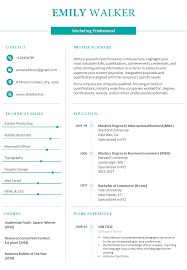 If you have many career highlights, the professional summary for your resume will be longer. Resume Summary Example For Marketing Professional Graphics Presentation Background For Powerpoint Ppt Designs Slide Designs