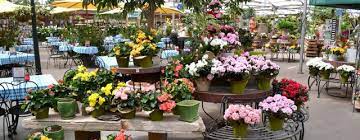 6010 lyndale ave s, minneapolis, mn 55423 map · phone number. Bachman S Lyndale Avenue Minneapolis Twin Cities Shops Guide Shop Style The Best Of The Twin Cities Mpls St Paul Magazine Mpls St Paul Magazine