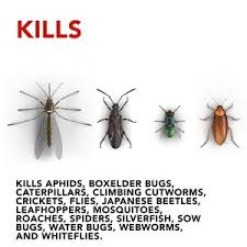Species don't matter when getting rid of the leafhoppers. Raid House Garden Bug Killer Spray Indoor Outdoor Cvs Pharmacy