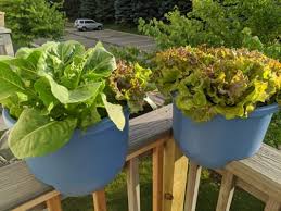 Easy home decorating tips that anyone can do to make a house, a home. Home Dek Decor 12 Deck Planter For 6 Railings Gardeners Com Deck Planters Planters Railing Planters