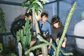 Page 1 of 1 start overpage 1 of 1. This Excellent New Store In Nyc Sells Cactus Not Clothes Gq