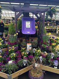 Red Yellow And Purple The Colour Of Spring At Fairways The Garden Centre Blog In 2020 Garden Center Displays Garden Center Garden Nursery