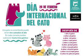 Download lagu dia del gato 1.59mb dan streaming kumpulan lagu dia del gato 1.59mb hasil diatas adalah hasil pencarian dari anda dia del gato mp3 dan menurut kami yang paling cocok. Paterna Lanza Una Campana De Sensibilizacion Con Motivo Del Dia Del Gato