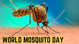 World Mosquito Day being observed today |