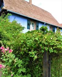 Les Jardins De La Ferme Bleue