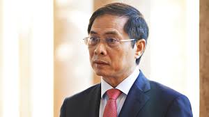 Phê bình nghiêm khắc Bộ trưởng Bùi Thanh Sơn liên quan vụ 'chuyến bay giải  cứu'