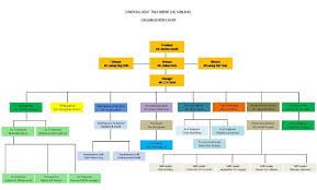 nissan and lg organiztional structures