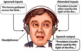 Moray (1959) Flashcards