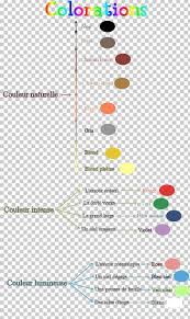 Check spelling or type a new query. Animal Crossing New Leaf Hairstyle Human Hair Color Cosmetologist Eye Color Png Clipart Free Png Download