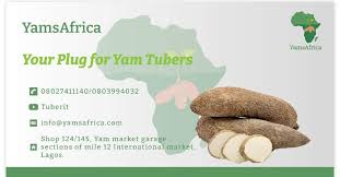 Image result for Dioscorea cayenensis