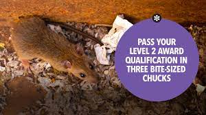 Rsph/bpca level 2 certificate in pest control. New Way To Pass Your Level 2 Award In Pest Management