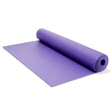 Yoga Mat Yoga Mat No Equipment Workout Yoga