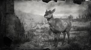 To see them all look at this map here: Striped Skunk Rdr2 Animals Database Red Dead Redemption 2