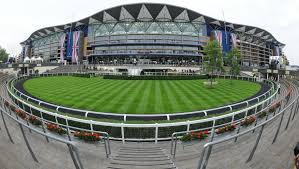Like with all racing, it can prove tricky to find a winner at the. Gx3mt8jby9 Rm