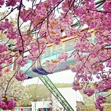 22 Grunde Warum Du Niemals Nach Wuppertal Fahren Solltest In 2020 Wuppertal Fahren Niemals