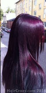 Here are the best ideas for your skin tone and hair color, including black hair and brown hair. How To Achieve Dark Plum Hair Forums Haircrazy Com