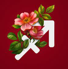 Sagittarius Flowers Sagittarius Flower Zodiac Flowers Zodiac Flower Sign