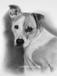Illustrationen und portraits von hunden nach fotovorlage. Portrait Vom Hund Zeichnen Lassen