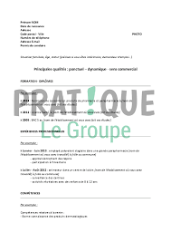 Cv examples see perfect cv samples that get jobs. Modele De Cv Pour Un Emploi D Employe En Pharmacie Debutant Pratique Fr