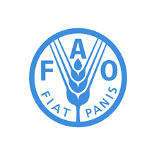 Snnpr urban development and housing bureau. Procurement Of Office Furniture For Snnpr Ihrpp