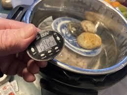 Cook, turning to brown all sides, about 1 minute per side. Instant Pot Jumps The Shark With Sous Vide Function Burnt My Fingers
