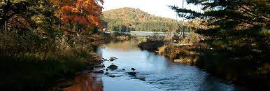 We did not find results for: Parker Dam State Park Clearfield County