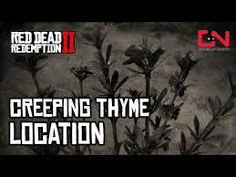 Red Dead Online Creeping Thyme Location Daily Challenge Youtube