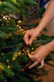 Die Richtige Weihnachtsbaum-Beleuchtung | Obi