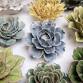 Creative Clay Flowers – CAMPBELL, 26.01.14 event in Bonita Springs, FL