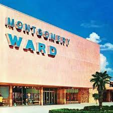 This Was A Department Store In Downtown Nashville I Named My Frog Montgomery Ward From This Store S N Childhood Memories My Childhood Memories Childhood