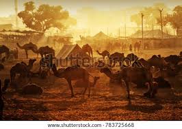 Statement i believe that architecture can affect human behaviour depending upon the nature of spaces. Shutterstock Puzzlepix