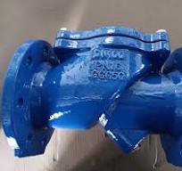 DN100 Ductile Iron Ggg50 Rubber Disc Check Valve or Flap Valve with Flange  to Pn10/Pn16