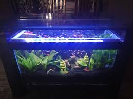 Meja Aquarium Interior Interior Rumah Rumah