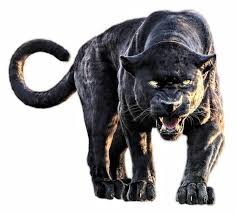 Pin By Becky Todd On Animals Of Africa In 2020 Black Panther Cat Panther Cat Tiger Artwork