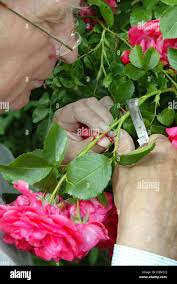 14 june 2004 hi-res stock photography and images