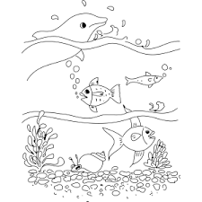 The most common hermit crab material is metal. Dolphin Fish And Hermit Crab Coloring Page