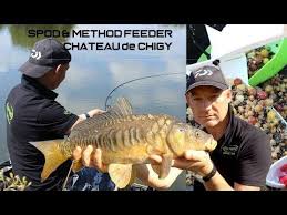 Videotuto Peche De Carpes Au Chateau De Chigy Spod Et Method Feeder Carpes Chateau Chigy Feeder Method Peche Https Tutot Chasse Peche Peche Carpe
