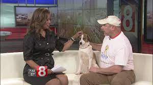 Last chance animal rescue, md; Deciding To Adopt A Pet With Pack Leaders Rescue Of Ct