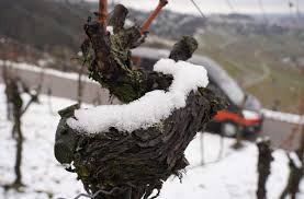 Saharastaub statt schnee darum trübt sich stuttgarts himmel so sonderbar gelb. Fur Einen Kleinen Schneemann Hat Es Gereicht Schnee Auf Dem Rotenberg Stuttgarter Nachrichten