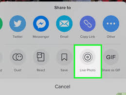 How to save gifs on iphone. Ein Tiktok Video In Der Galerie Auf Einem Iphone Oder Ipad Speichern Wikihow