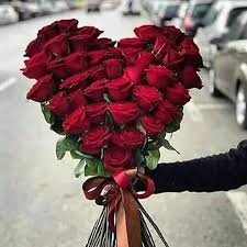 Jun 05, 2021 · صور ورد وياسمين 2021. ØµÙˆØ± ÙˆØ±Ø¯ Ø±Ø§Ø¦Ø¹ Ø§Ù„ØµÙØ­Ø© Ø§Ù„Ø±Ø¦ÙŠØ³ÙŠØ© ÙÙŠØ³Ø¨ÙˆÙƒ
