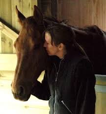 Boycott Grand National to stop horse deaths