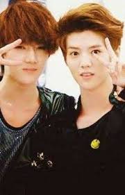 صور لاكسو كابلز Exo