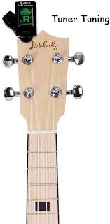 We did not find results for: Mulucky 4 String Banjo Ukulele Concert 23 Inch Remo Drumhead Maple Body Beginner Kit With Truss Rod Gig Bag Tuner String Strap Picks Bu802 Banjos Musical Instruments Dj Thepodsatstreamvale Com